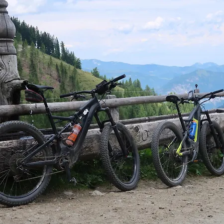 아파트 Harringer 5 Gehminuten Zur Schatzbergbahn Wildschoenau Tirol Wild020 By Fewo-plan *