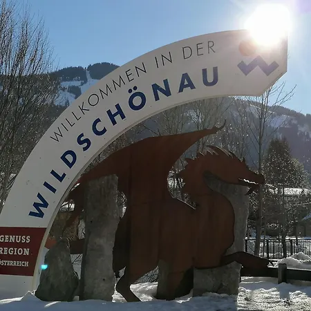 아파트 Harringer 5 Gehminuten Zur Schatzbergbahn Wildschoenau Tirol Wild020 By Fewo-plan