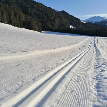 Ferienwohnung Harringer 5 Gehminuten Zur Schatzbergbahn Wildschoenau Tirol Wild020 By Fewo-Plan Pechkaser