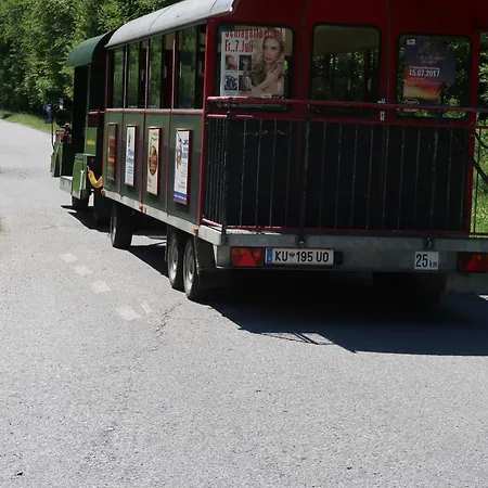 Lejlighed Ferienwohnung Harringer 5 Gehminuten Zur Schatzbergbahn Wildschoenau Tirol Wild020 By Fewo-Plan Pechkaser